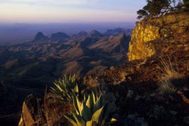 Texas Mountain Trail